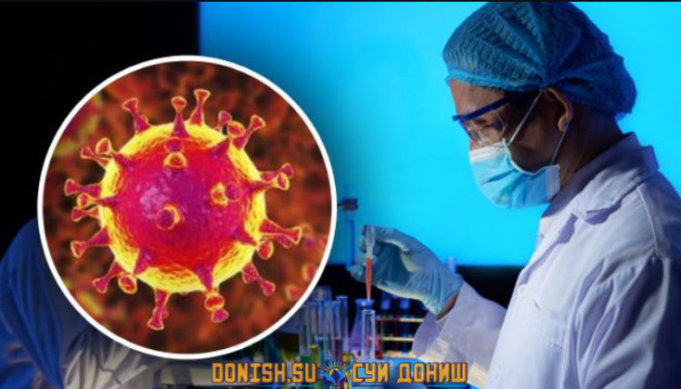 коронавирус точики коронавирус точики