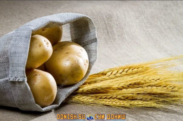 картошка, гандум