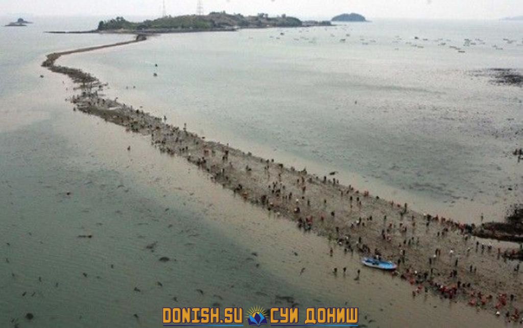 муъчиза хазрати Мус
